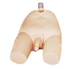 DM-NS6046 高級男性膀胱穿刺模型