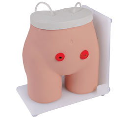 DM-NS6042 瘺管造口術(shù)后護(hù)理模型